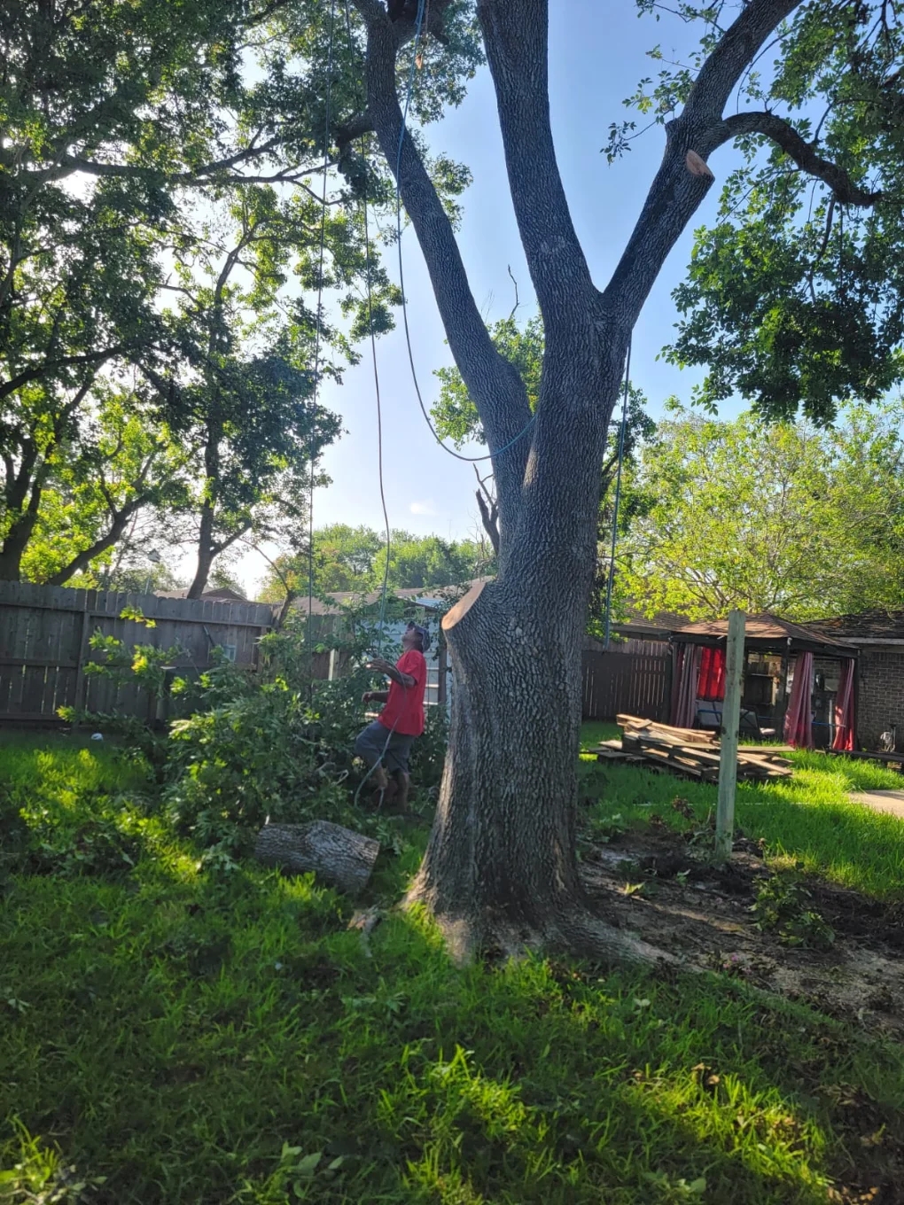 Granding,general tree,stump grinding ,wood fencing in Dickinson TX